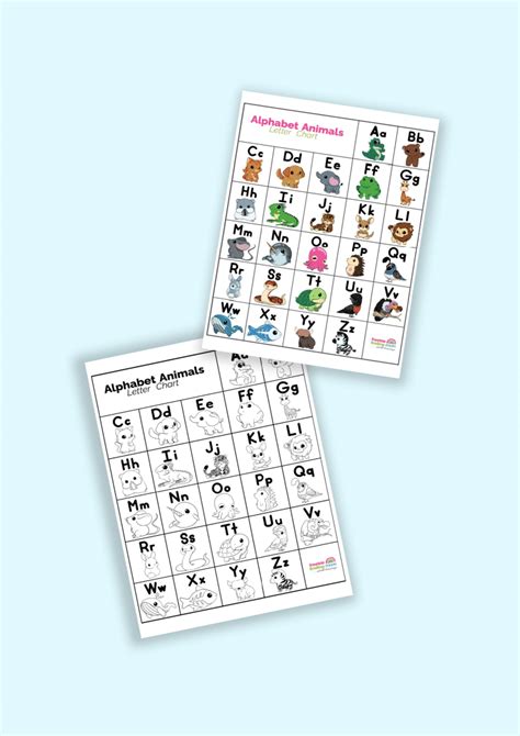 Completed Abc Chart