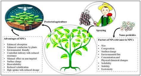 Plants Free Full Text Nano Agrochemicals As Substitutes For