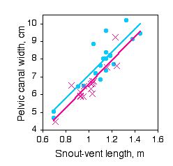 Analysis of covariance - Handbook of Biological Statistics