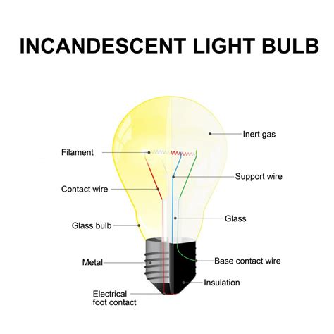 Halogen Light Bulb Diagram