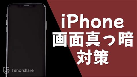 【iphone画面真っ黒の対策】iphoneの画面が真っ暗（ブラックアウト）で起動しない時の対処法｜tenorshare Reiboot