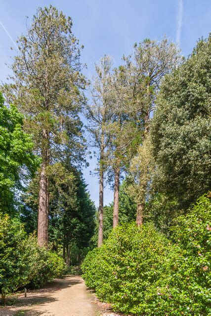 Exbury Gardens Ian Capper Cc By Sa Geograph Britain And Ireland