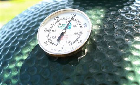 How to Grill on a Big Green Egg - Vindulge