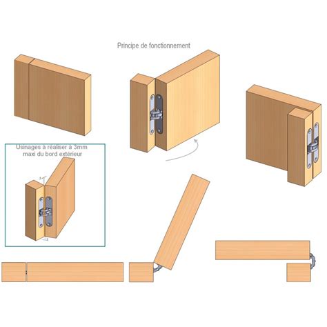 Concealed Hinge For A Wicket Door Or Cupboard