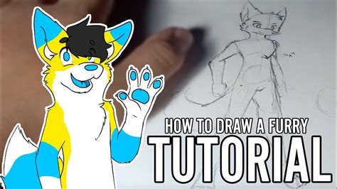 How To Draw A Furry [tutorial 1] Youtube