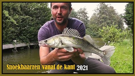 Snoekbaarzen Vanaf De Kant 2021 Vissen Op Snoekbaars Met Shads YouTube