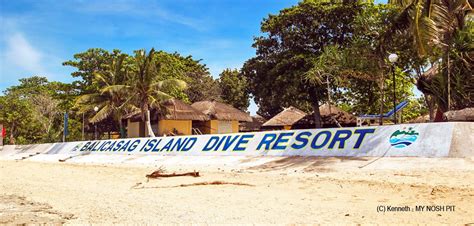 Balicasag Island Dive Resort, Philippines - Bohol Guide