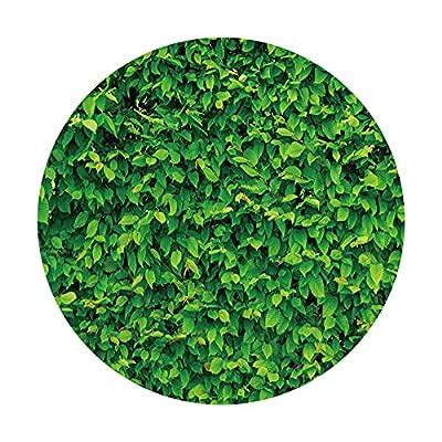 Buy Leowefowa Vibrant Greenery Leaves Wall Round Backdrop Polyester