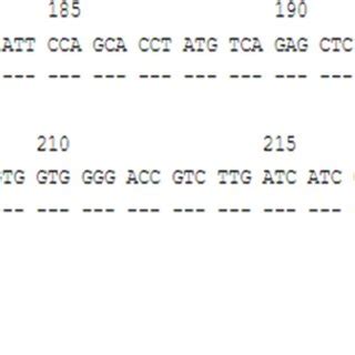 Nucleotide Sequence Alignment Exon Of Hladqa Compared To