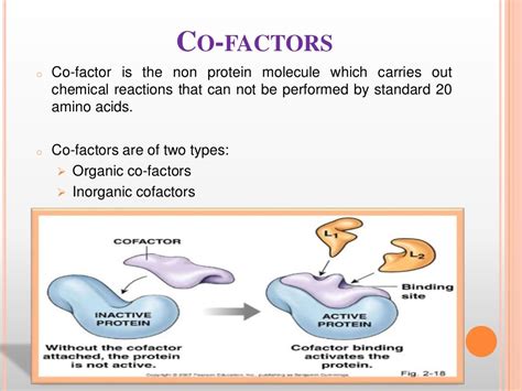 Enzymes Biochemistry