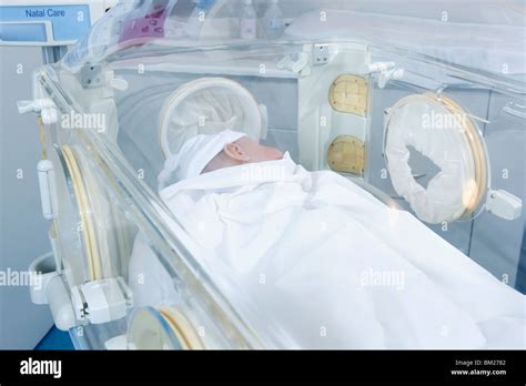 Newborn Baby In An Incubator Stock Photo Alamy