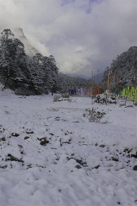 Beautiful Snow Covered Yumthang Valley in Winter Season, Scenic Yumthang Valley Surrounded by ...