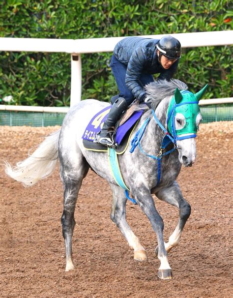 17年チャンピオンズc2着テイエムジンソクが引退 種牡馬入りへ スポーツ報知