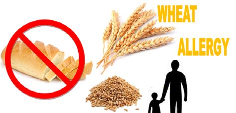 Diet Plan In Wheat Allergy Food Clinic