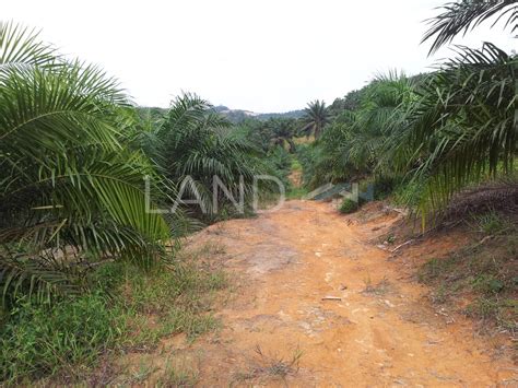 Terrace For Auction At Taman Kota Jaya Kota Tinggi Land