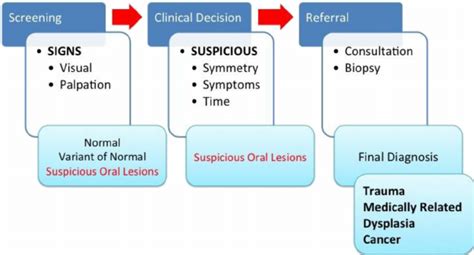 Oral Cancer — Steps To Diagnosis Download Scientific Diagram