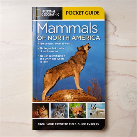 National Geographic Pocket Guide To Mammals Of North America Ram Shop