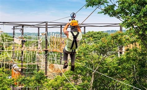 Zipline Chicago: Outdoor Zipline & Climbing Tower | The Forge: Lemont ...