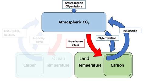 Max Planck Institute For Meteorology Climate Biosphere Interaction