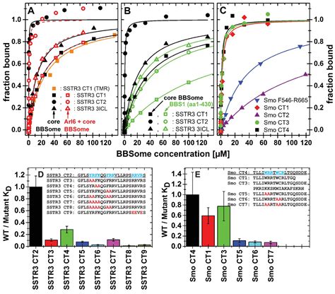 A Recombinant Bbsome Core Complex And How It Interacts With Ciliary