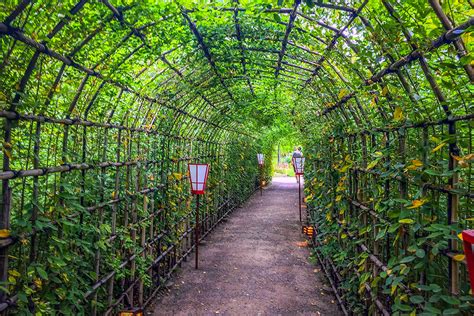 Top Tokyo Instagram Spots Mukojima Hyakkaen Gardens Japanese Clover