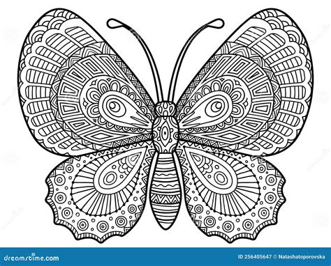 Vector Coloring Book Page Silhouette Of Elegant Butterfly In Mandala