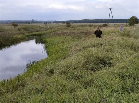 Life4delta Poprawimy warunki hydrologiczne śródlądowej delty rzeki Nidy