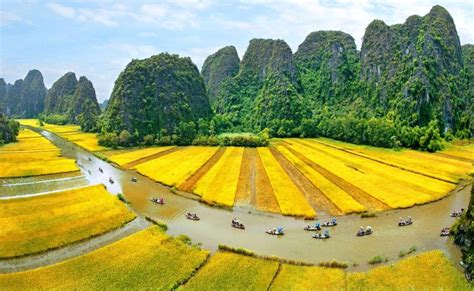 Von Hanoi aus Hoa Lu Tam Coc oder Trang An Mua Höhle GetYourGuide