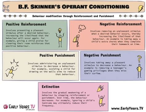 B F Skinner Operant Conditioning And Behaviourism Theories