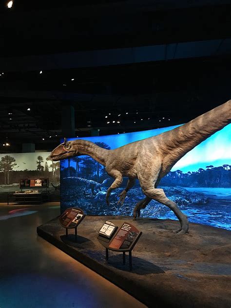 Antarctic Dinosaur Exhibit at NHMLA