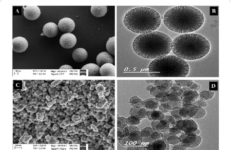 Sem And Tem Images Of Mesoporous Silica Nanomaterials Kcc Calcined A