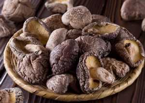 Budidaya Jamur Shiitake - PustakaDunia.com