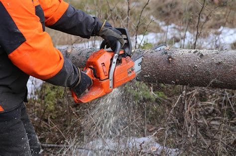 200+ Free Chainsaw & Nature Images - Pixabay