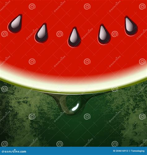 Fresh Watermelon Half Slice Peel Skin Texture Stock Vector