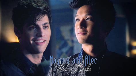 Magnus And Alec City Of Bones