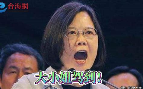 蔡正元道出 大小姐 黑历史，连珠炮轰出十几条 台海网 台海网 哔哩哔哩视频