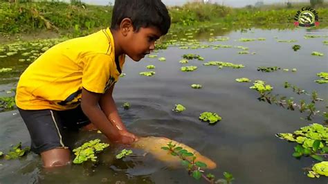 Amazing Hand Fishing Video Traditional Small Boy Big Fish Catching By