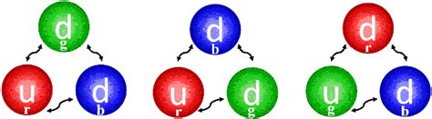 The Neutron The Same Flavor Quarks Change Color Due To Gluon Exchange