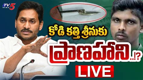 Live కోడి కత్తి శ్రీనుకు ప్రాణహాని Bail To Srinivas In Kodi Kathi Case Ys Jagan Tv5