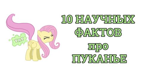 10 НАУЧНЫХ ФАКТОВ про ПУКАНЬЕ - YouTube