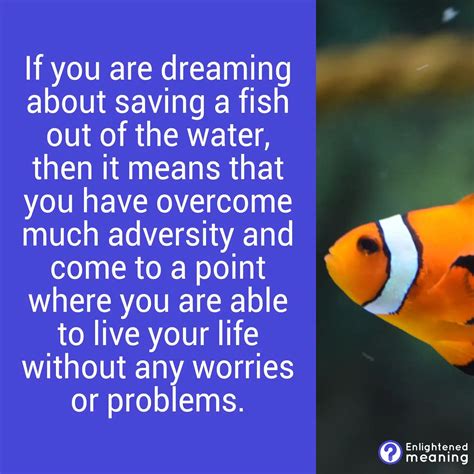 Fish Dream Meaning What Do They Signify Enlightened Meaning