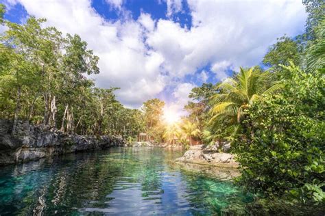 Best Cenotes To Visit In Riviera Maya