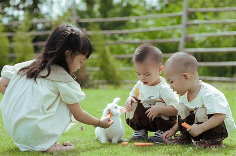 200000 Free Black White Bunny And Rabbit Images Pixabay