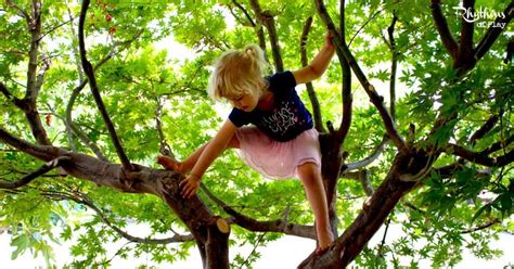 Teaching Kids To Climb Trees