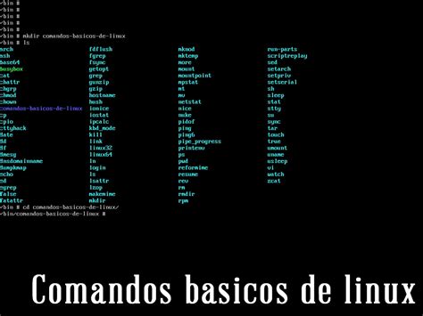 Comandos B Sicos De Linux Que Todo Principiante Debe Conocer