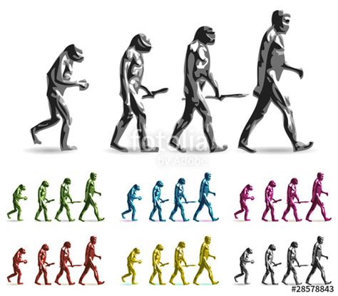 Human Evolution Vector At Vectorified Collection Of Human