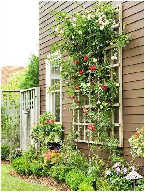 15 Unique Trellis Ideas For Your Homes Garden