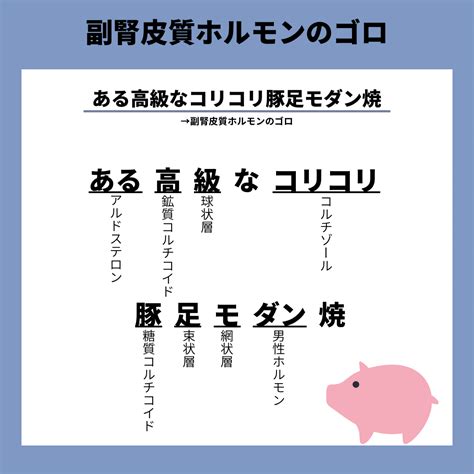 副腎皮質ホルモンのゴロ 薬学note