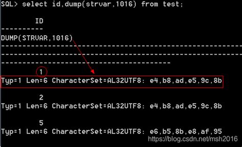 Oracle入门精读29 Oracle客户端字符集与NLS LANG环境变量 oracle nls lang CSDN博客