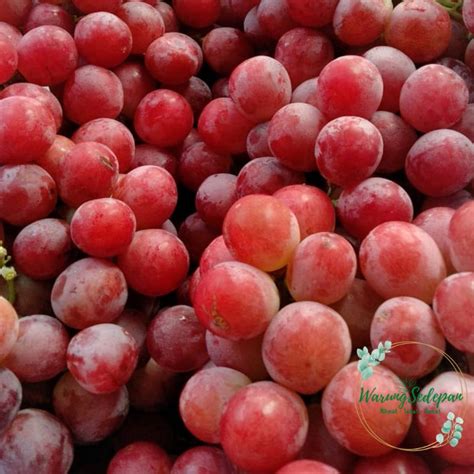 Jual Buah Anggur Red Globe Ada Biji Buah Anggur Manis Buah Segar Bekasi